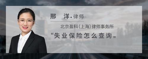 失业保险怎么查询