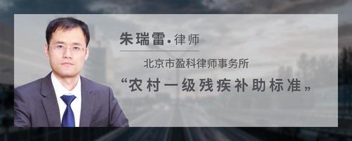 农村一级残疾补助标准