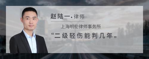 二级轻伤能判几年
