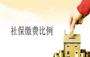 社保缴费基数