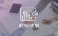 商标续展期和宽展期的区别
