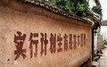 山东计划生育政策
