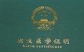 出生证明怎么开