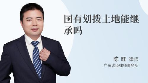 国有划拨土地能继承吗