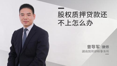 股权质押贷款还不上怎么办
