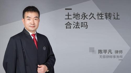 土地永久性转让合法吗