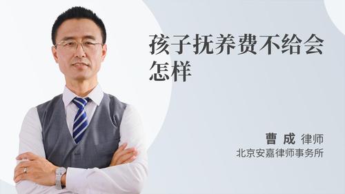 孩子抚养费不给会怎样