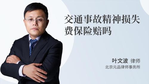 交通事故精神损失费保险赔吗