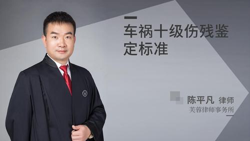 车祸十级伤残鉴定标准