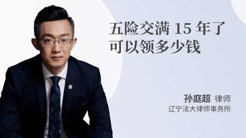 五险交满15年了可以领多少钱