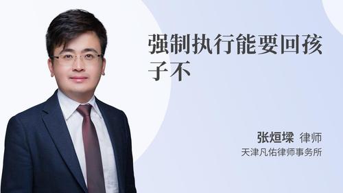 强制执行能要回孩子不