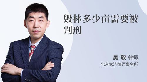 毁林多少亩需要被判刑