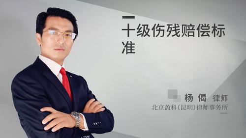 十级伤残赔偿标准