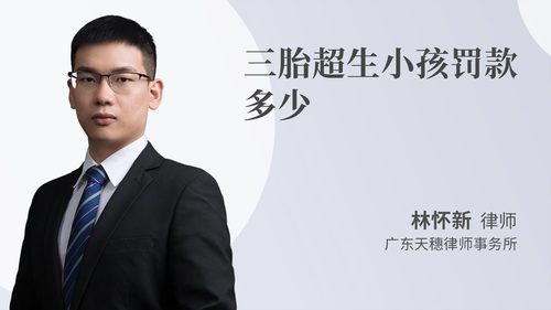 三胎超生小孩罚款多少
