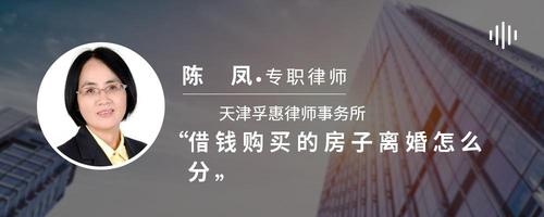 借钱购买的房子离婚怎么分