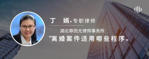 离婚案件适用哪些程序