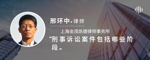 刑事诉讼案件包括哪些阶段