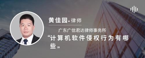 计算机软件侵权行为有哪些