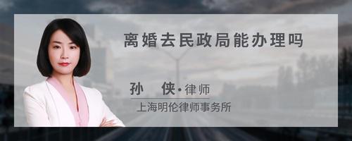 离婚去民政局能办理吗