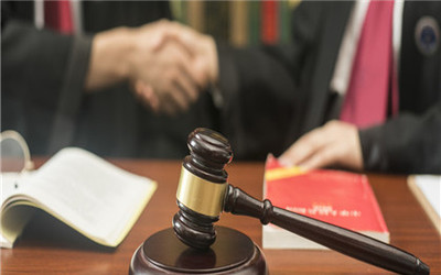 公民是否有民事行为能力由谁判定