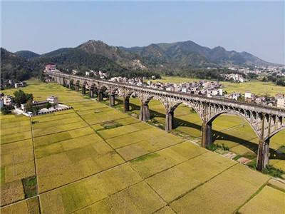 集体土地所有权归谁