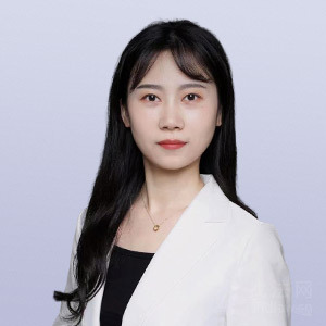 河南律师-党政律师
