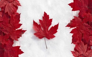 加拿大签证在职证明范文