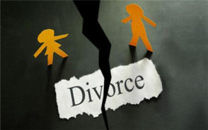 标准版的离婚起诉书范文