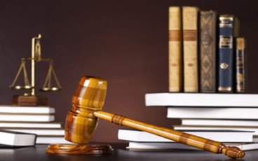 民事诉讼法特别程序是什么