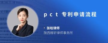 pct专利申请流程