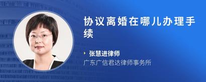 协议离婚在哪儿办理手续