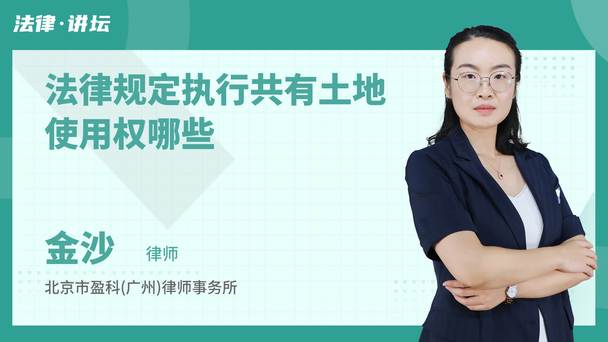 法律规定执行共有土地使用权哪些
