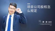 项目公司股权怎么规定