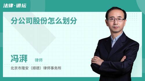 分公司股份怎么划分