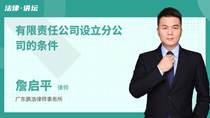 有限责任公司设立分公司的条件
