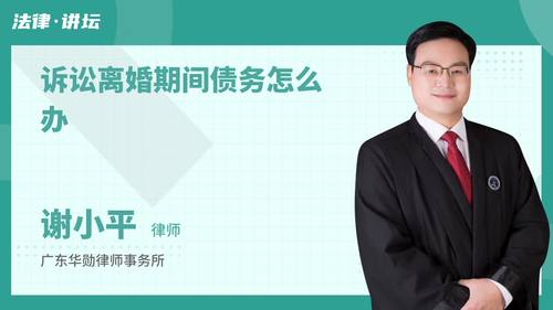 诉讼离婚期间债务怎么办