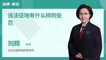 违法征地有什么样的处罚