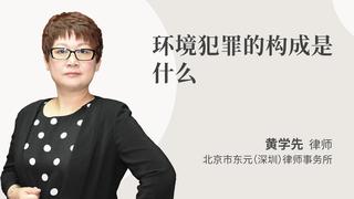 环境犯罪的构成是什么