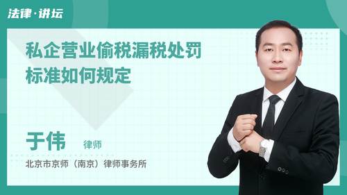 私企营业偷税漏税处罚标准如何规定