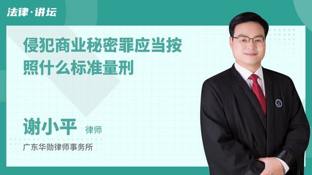 侵犯商业秘密罪应当按照什么标准量刑