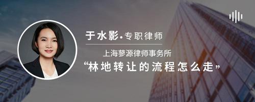 林地转让的流程怎么走